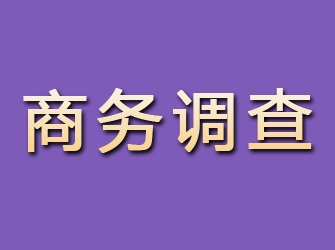 额尔古纳商务调查